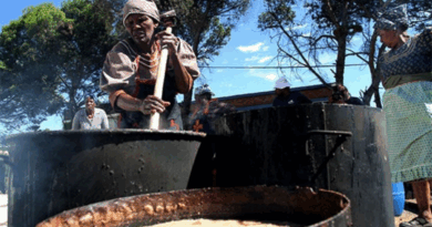 Dino tša setšo mehleng ya pele ga bokolone ka Borwa bja Afrika
