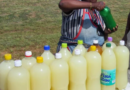 Marula beer e tsebjwa ka maina a mantši mo Afrika Borwa: vukanyi (Xitsonga), mukumbi (TshiVenda), buganu (siSwati), le morula (Sesotho).