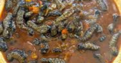Mashotja (mopane worms)