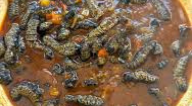 Mashotja (mopane worms)